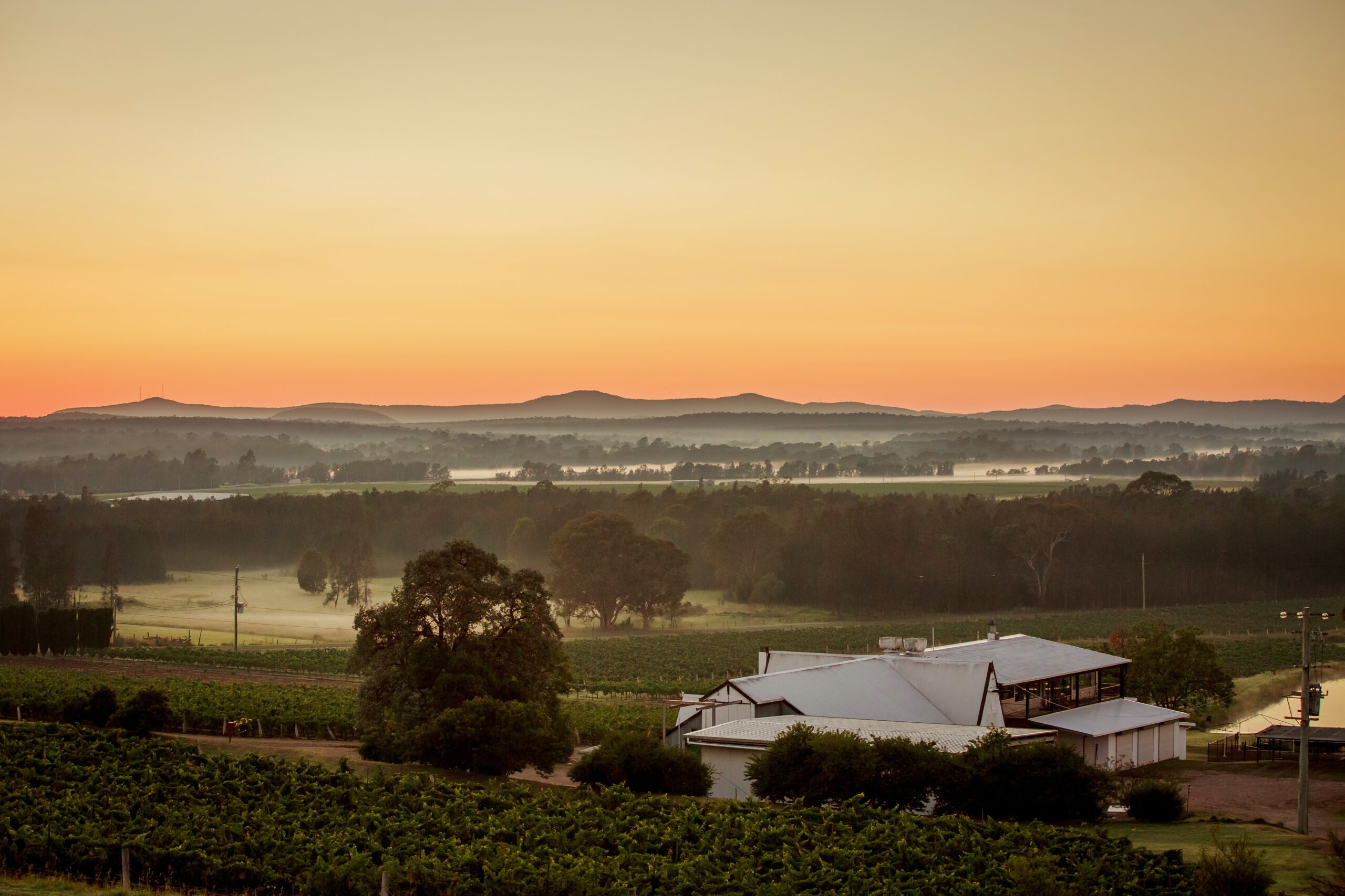The proximity to vineyards is just one of the reasons to live and work in Newcastle NSW